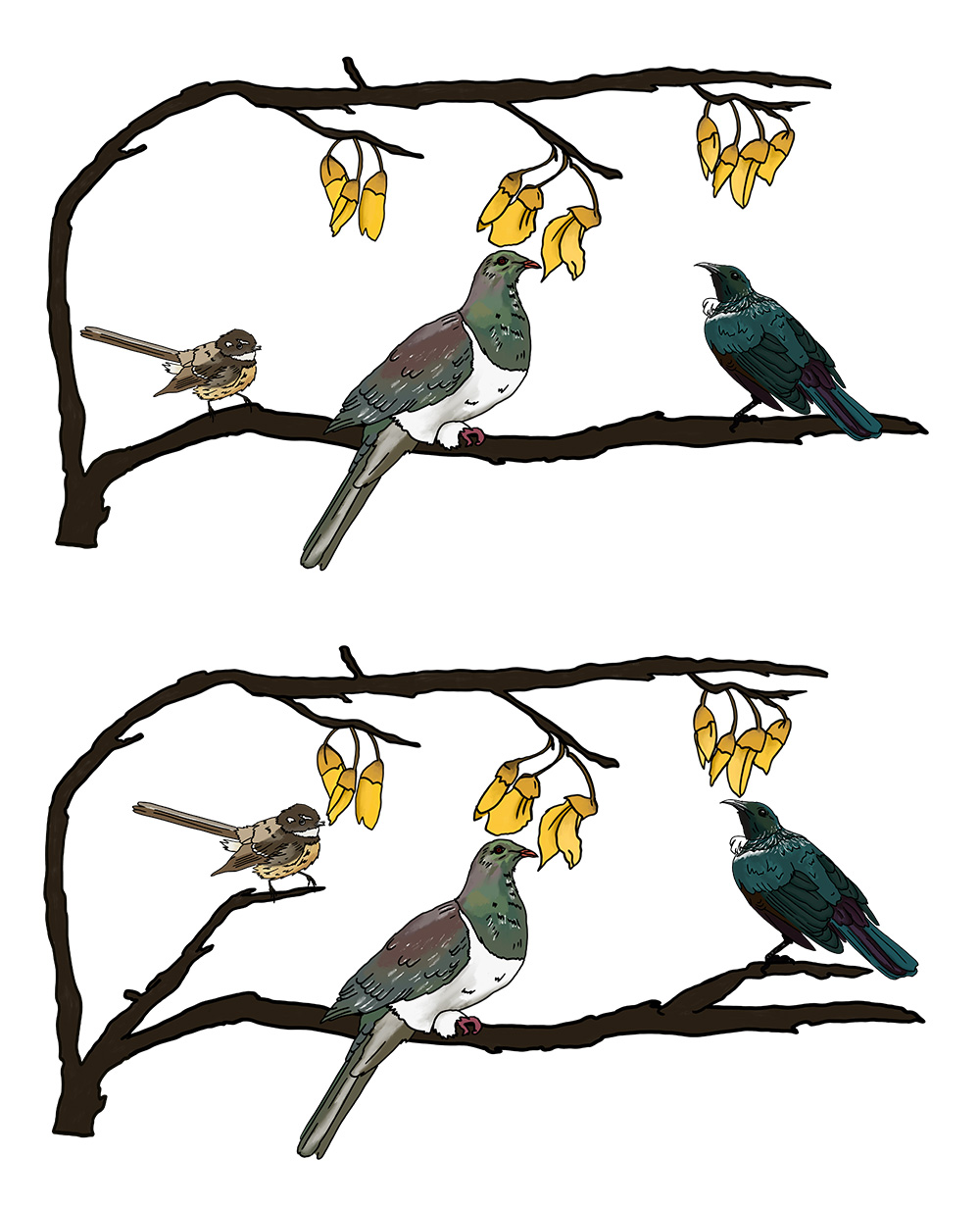 Three birds — kererū, tūī, and pīwakawaka — trying to reach nectar from a kōwhai tree, illustrating the difference between equality and equity